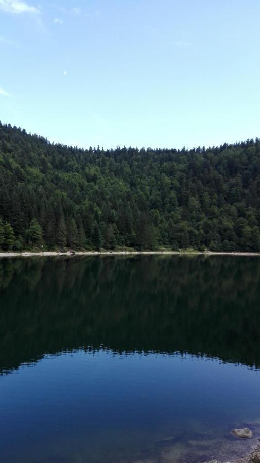 La Bressaude - Vacances-En-Vosges - Menage Compris La Bresse Exteriér fotografie