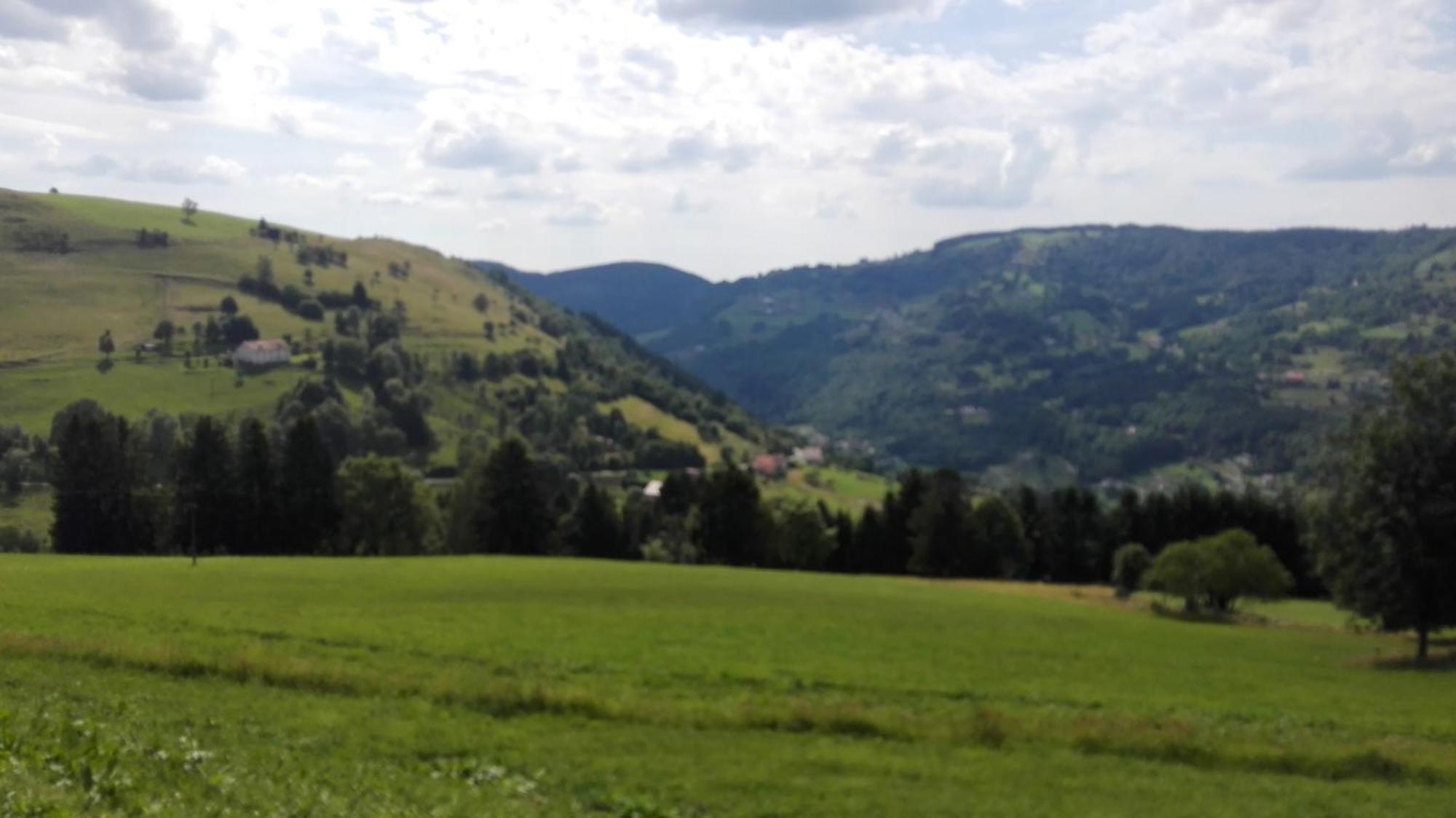 La Bressaude - Vacances-En-Vosges - Menage Compris La Bresse Exteriér fotografie