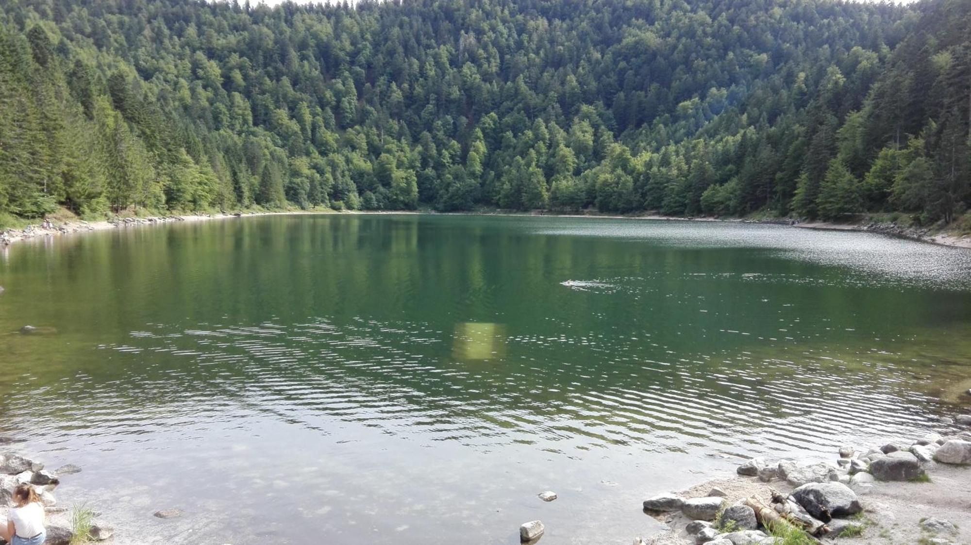 La Bressaude - Vacances-En-Vosges - Menage Compris La Bresse Exteriér fotografie