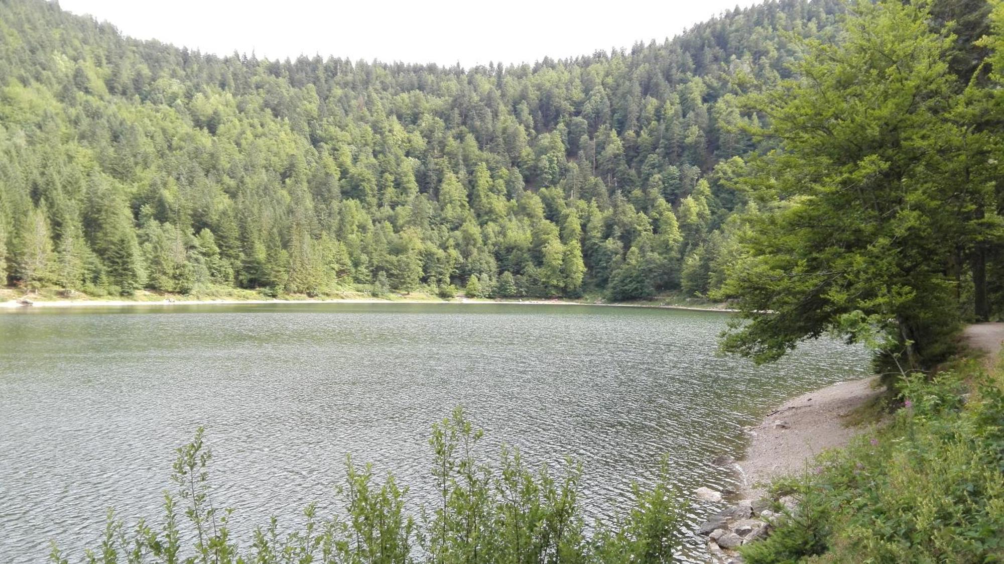 La Bressaude - Vacances-En-Vosges - Menage Compris La Bresse Exteriér fotografie